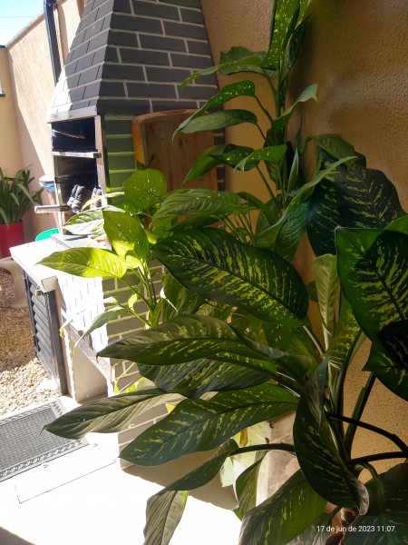 Casa à venda Centro com 102m² e 2 quartos por R$ 700 - 1683104724-inbound6504684978553035903.jpg