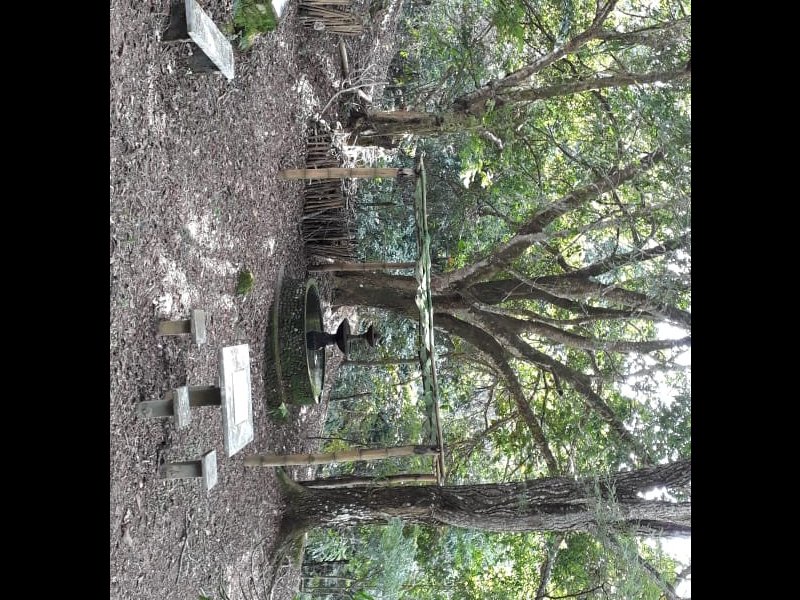 Sítio à venda Centro com 22000m² e 3 quartos por R$ 1.400.000 - 1352382570-img-20230309-wa0065.jpg