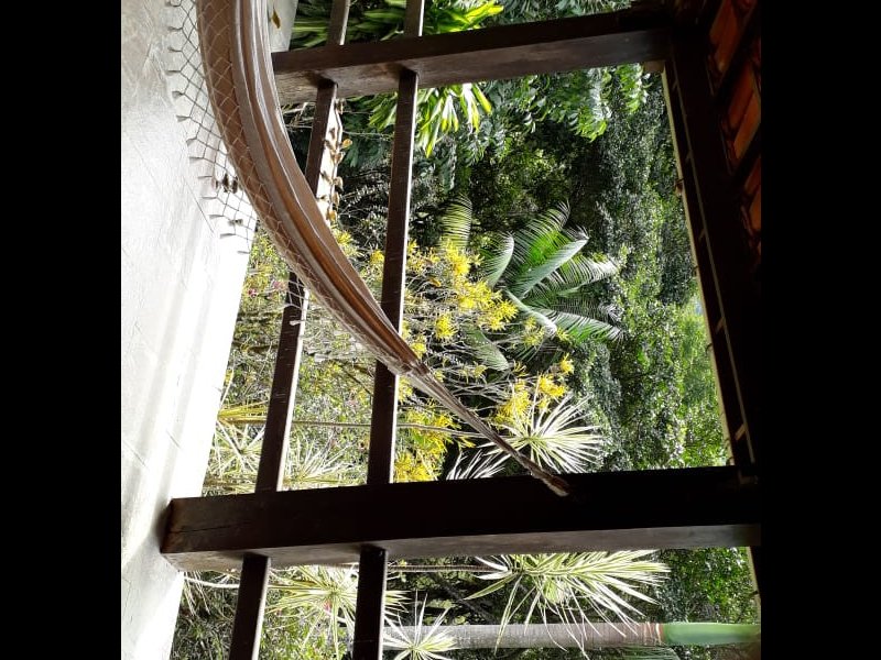 Sítio à venda Centro com 22000m² e 3 quartos por R$ 1.400.000 - 1494356911-img-20240105-wa0114.jpg