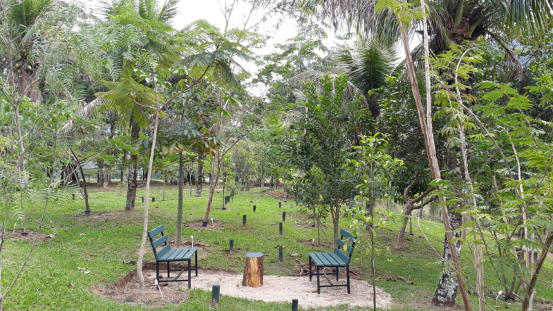 Sítio à venda Centro com 22000m² e 3 quartos por R$ 1.400.000 - 1768328061-img-20230309-wa0061.jpg