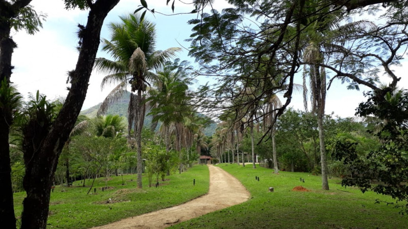 Sítio à venda Centro com 22000m² e 3 quartos por R$ 1.400.000 - 1793148644-img-20240105-wa0110.jpg