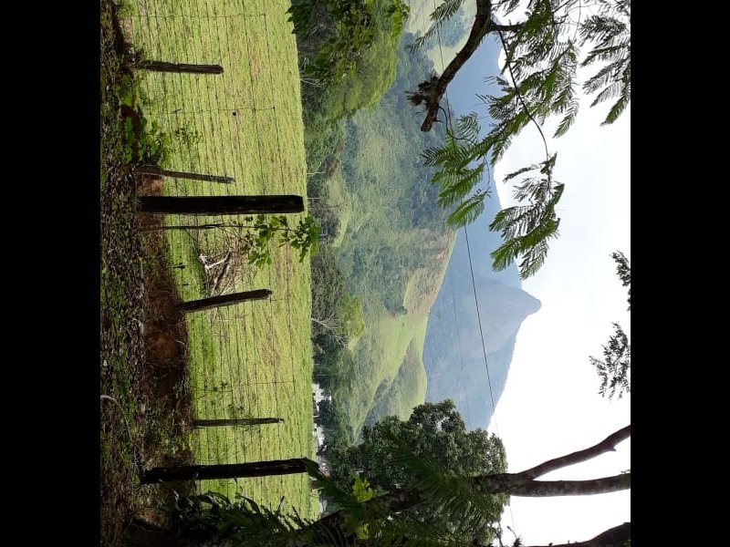 Sítio à venda Centro com 22000m² e 3 quartos por R$ 1.400.000 - 1880348556-img-20230309-wa0060.jpg