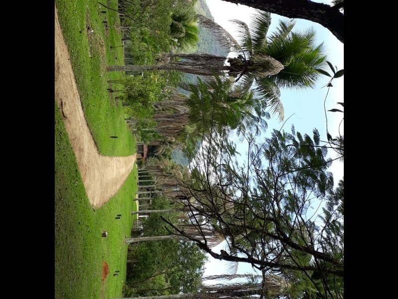 Sítio à venda Centro com 22000m² e 3 quartos por R$ 1.400.000 - 300471250-img-20240105-wa0110.jpg