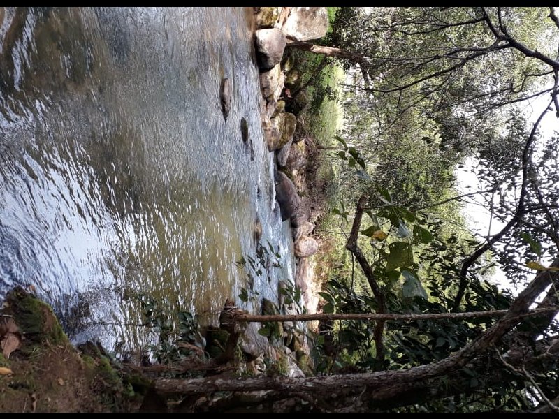 Sítio à venda Centro com 22000m² e 3 quartos por R$ 1.400.000 - 569087947-img-20240105-wa0115.jpg