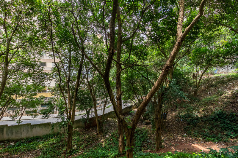 imóvel com 88m² - Pompéia - São Paulo
