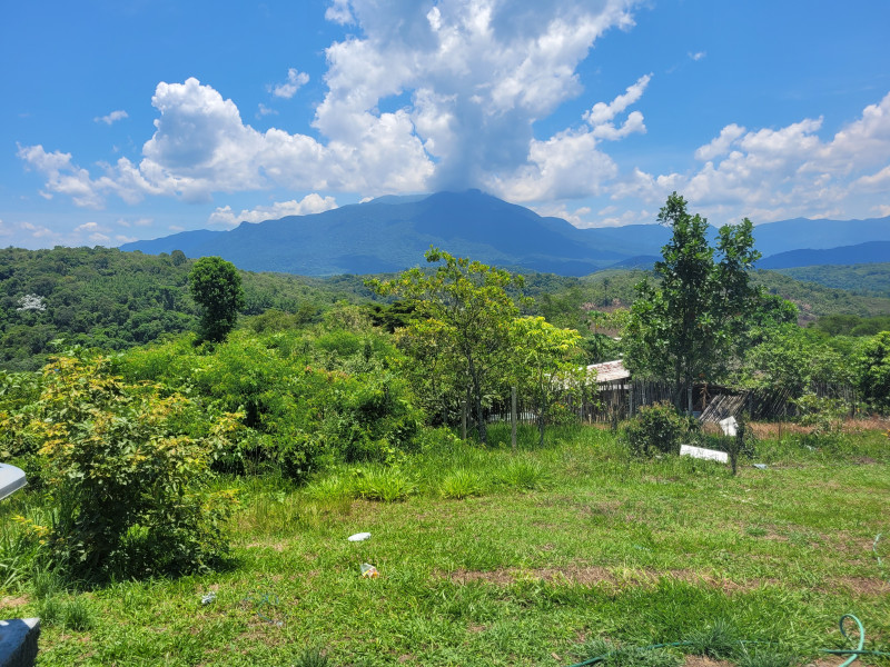 Sítio à venda Iguaçu Velho com 1300m² e 2 quartos por R$ 120.000 - 678113196-20231225-114523.jpg