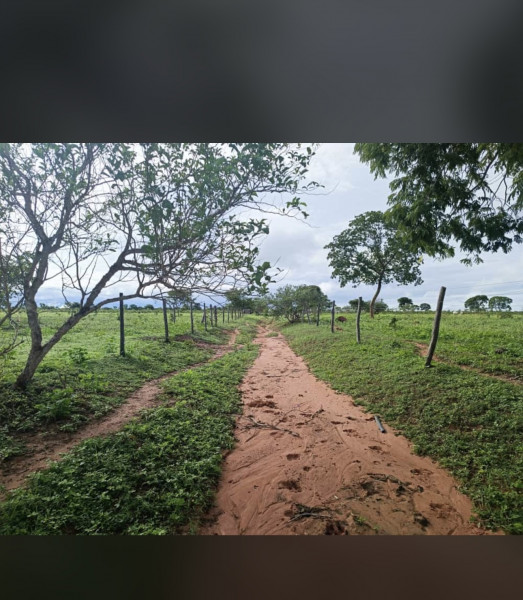 imóvel com 319m² - Centro - Urucuia