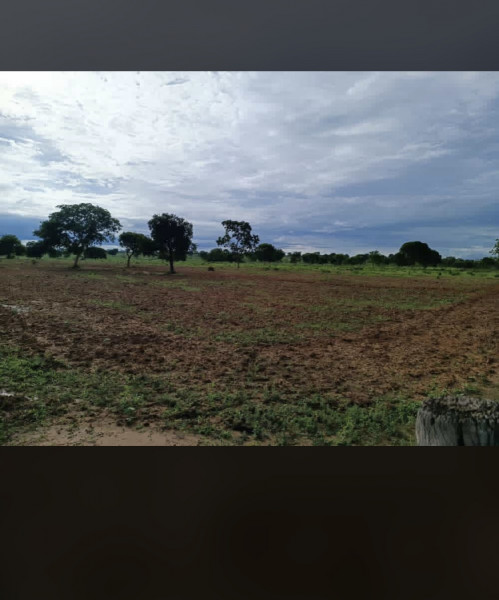 imóvel com 319m² - Centro - Urucuia