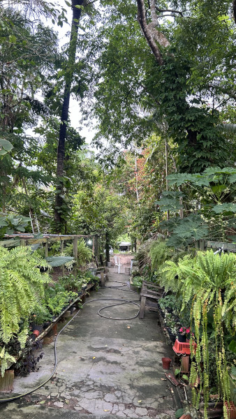 imóvel com 5000m² - Puraquequara - Manaus