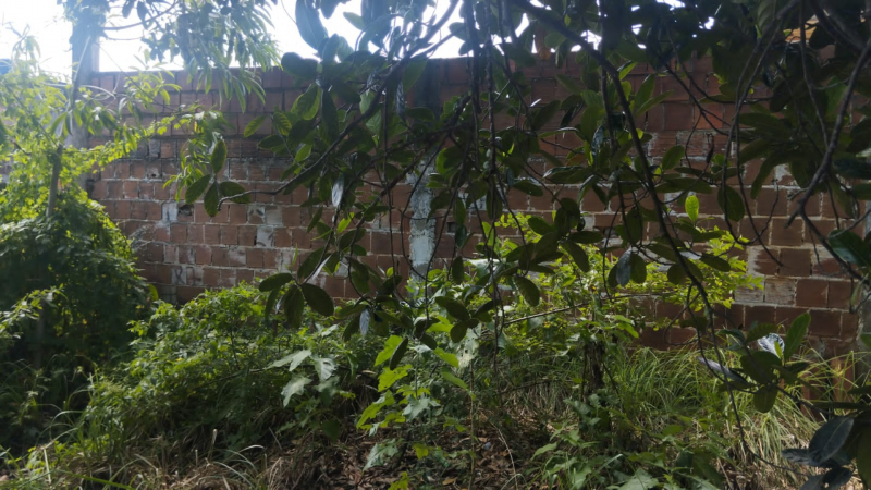 Terreno à venda Tabajara com 360m² e 1 quarto por R$ 85.000 - 1143513050-terreno-7.png