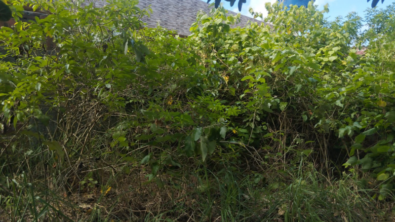 Terreno à venda Tabajara com 360m² e 1 quarto por R$ 85.000 - 1743981624-terreno-9.png