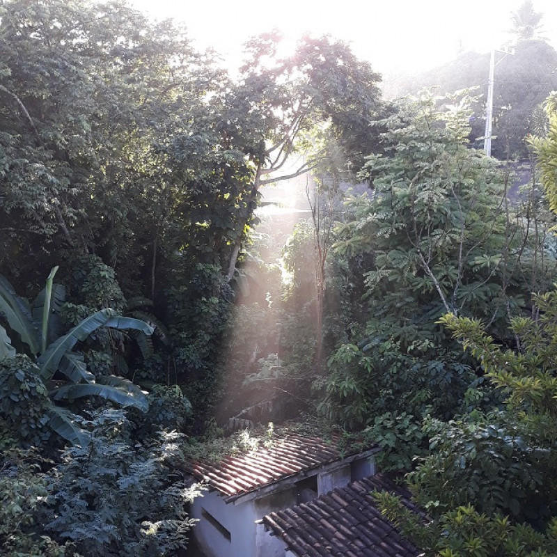 imóvel com 33m² - Cassange - Salvador