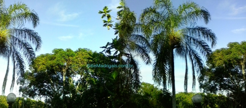 imóvel com 33m² - Cassange - Salvador