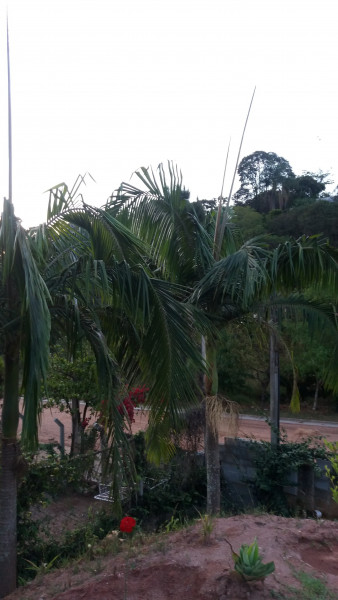 Chácara à venda Bairro da Posse com 1m² e 3 quartos por R$ 270.000 - 1844084615-20171001-180321.jpg