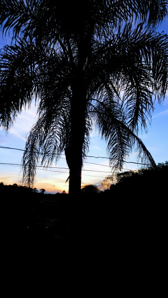 Chácara à venda Bairro da Posse com 1m² e 3 quartos por R$ 270.000 - 912037542-20171001-180227-effects.jpg