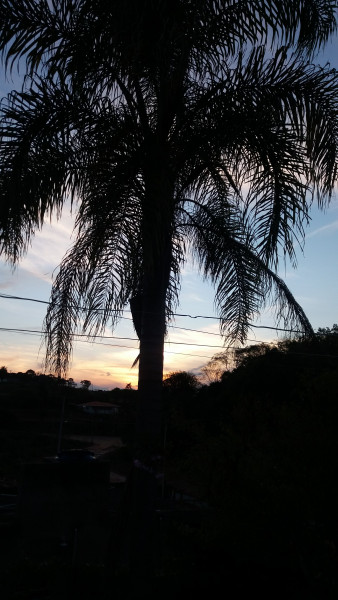 Chácara à venda Bairro da Posse com 1m² e 3 quartos por R$ 270.000 - 991080246-20171001-180227.jpg