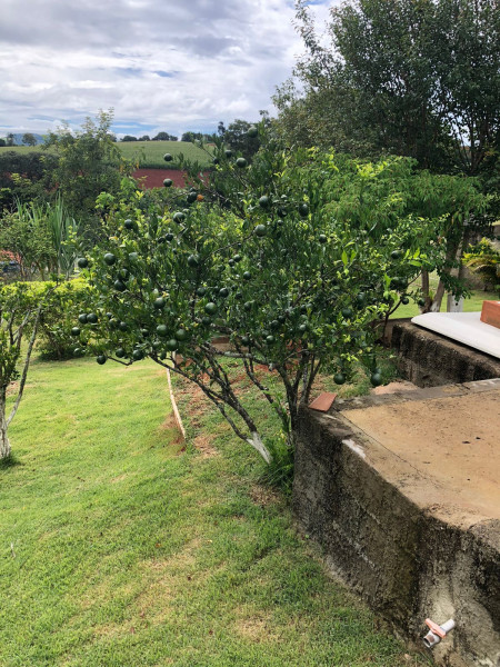imóvel com 740m² - Bairro dos godoy - São Paulo
