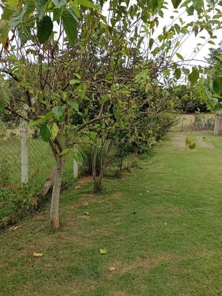 imóvel com 740m² - Bairro dos godoy - São Paulo