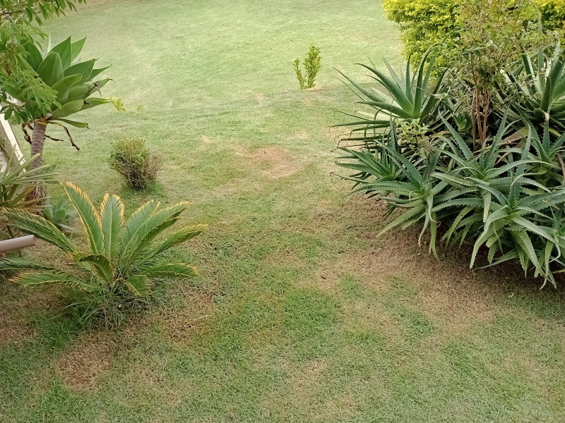 imóvel com 740m² - Bairro dos godoy - São Paulo