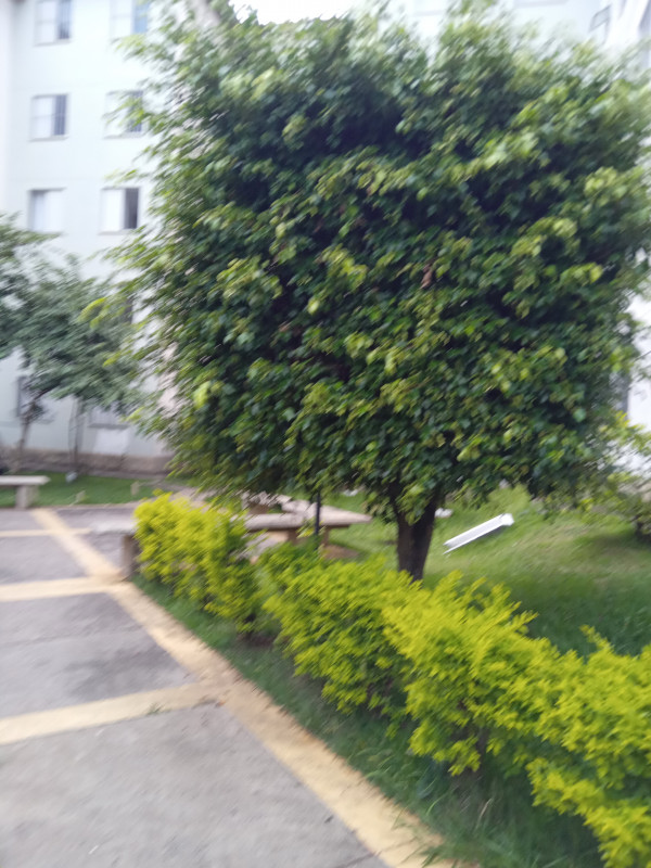 Apartamento à venda Cidade Satélite Santa Bárbara com 50m² e 2 quartos por R$ 200.000 - 1963770395-20240109-170853312.jpg