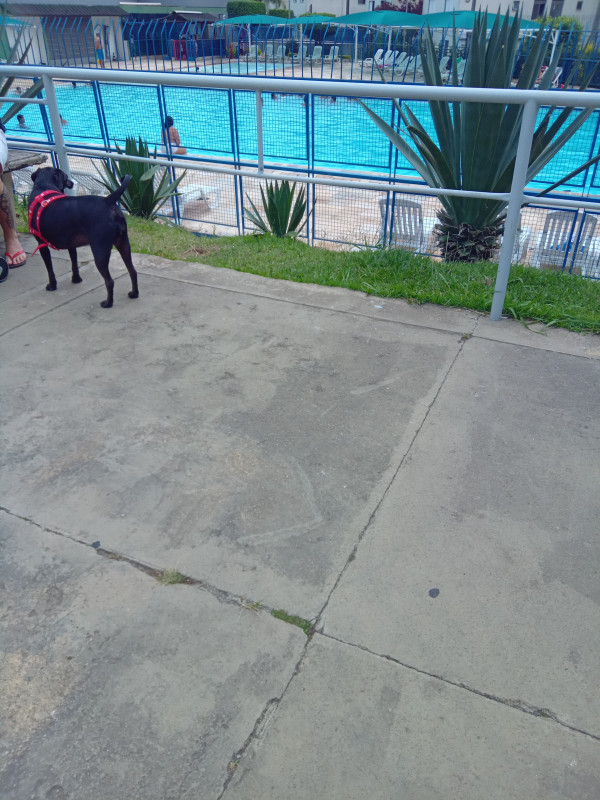 Apartamento à venda Cidade Satélite Santa Bárbara com 50m² e 2 quartos por R$ 200.000 - 292911006-20240109-170701394.jpg