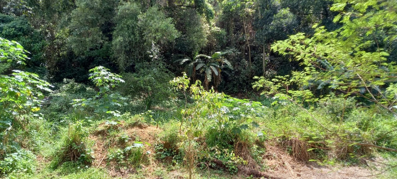 Chácara à venda Centro com 14760m² e 2 quartos por R$ 1.180.000 - 1607007814-img-20211005-wa0017.jpg