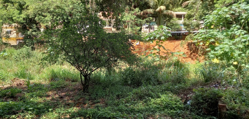 Chácara à venda Centro com 14760m² e 2 quartos por R$ 1.180.000 - 1949686183-img-20211005-wa0009.jpg