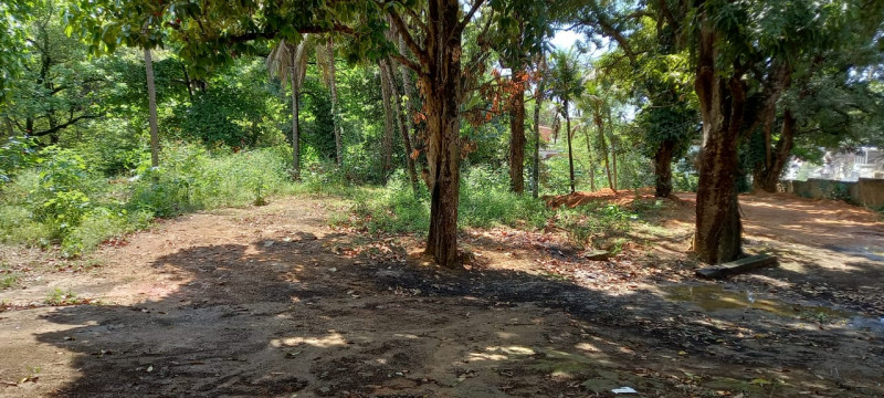 Chácara à venda Centro com 14760m² e 2 quartos por R$ 1.180.000 - 2056646108-img-20211005-wa0016.jpg