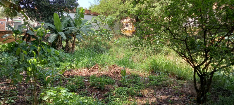 Chácara à venda Centro com 14760m² e 2 quartos por R$ 1.180.000 - 238050482-img-20211005-wa0008.jpg
