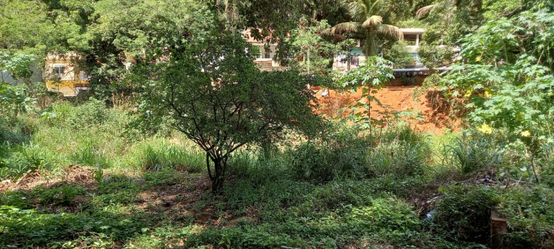 Chácara à venda Centro com 14760m² e 2 quartos por R$ 1.180.000 - 746124036-img-20211005-wa0012.jpg