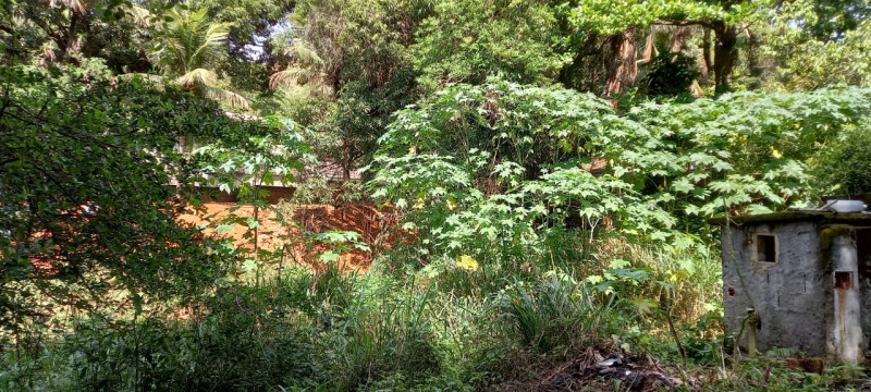 Chácara à venda Centro com 14760m² e 2 quartos por R$ 1.180.000 - 938701839-img-20211005-wa0006.jpg