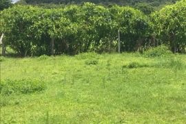 Terreno à venda Centro com 568m² - 1 dormitório -  vagas - R$ 199.000 - 1377595844-whatsapp-image-2024-01-02-at-18.jpeg