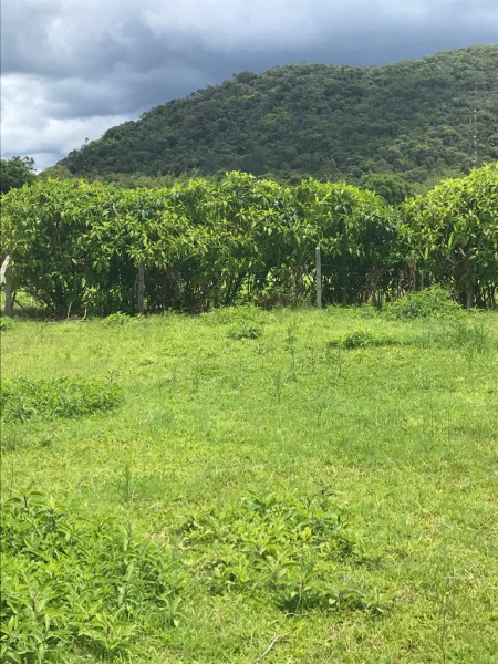 Terreno à venda Centro com 568m² e 1 quarto por R$ 199.000 - 1377595844-whatsapp-image-2024-01-02-at-18.jpeg
