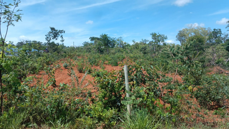 Terreno à venda Centro com 500m² e 1 quarto por R$ 90.000 - 2107684700-img-20231227-wa0028.jpg