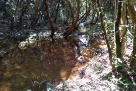 Terreno à venda Centro com 40000m² - 1 dormitório -  vagas - R$ 100.000 - 1092469853-img-20190528-125301172.jpg