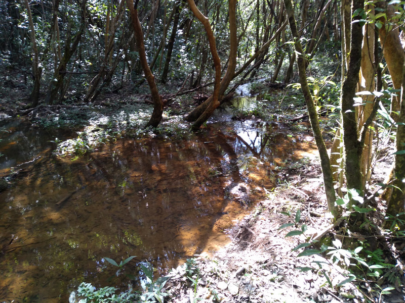 Terreno à venda Centro com 40000m² e 1 quarto por R$ 100.000 - 1092469853-img-20190528-125301172.jpg