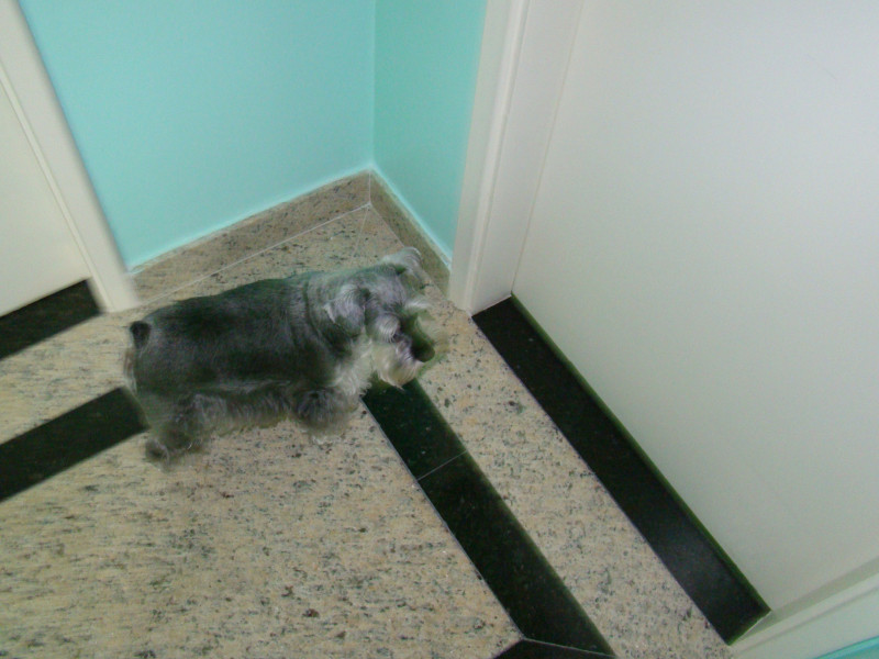 Apartamento à venda Vila Formosa com 110m² e 3 quartos por R$ 600.000 - 125074411-dsc00021.JPG