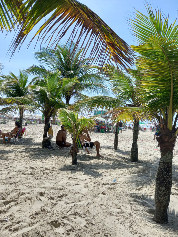 Apartamento à venda Tupi com 75m² e 2 quartos por R$ 300.000 - 1418528631-inbound8452865014932185740.jpg