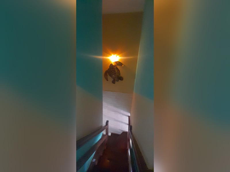 Casa à venda Ogiva com 60m² e 2 quartos por R$ 320.000 - tcnexa-ut0xl1-tfbbk-obe2.jpeg