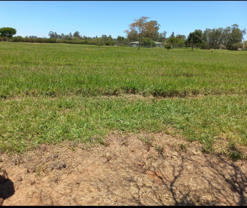 Terreno à venda Centro com 450m² e 1 quarto por R$ 30.000 - 2023023384-screenshot-20240118-180510-whatsapp.jpg