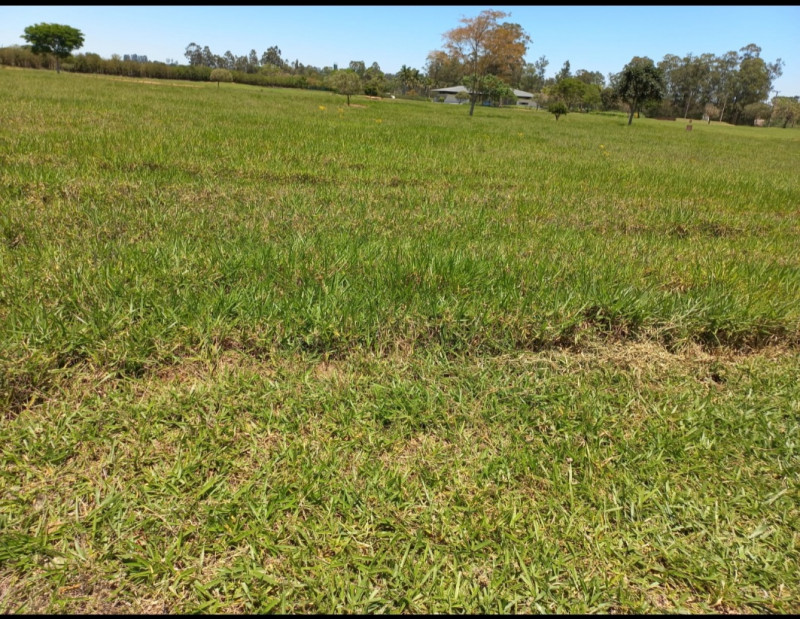 Terreno à venda Centro com 450m² e 1 quarto por R$ 30.000 - 646695379-screenshot-20240118-180518-whatsapp.jpg