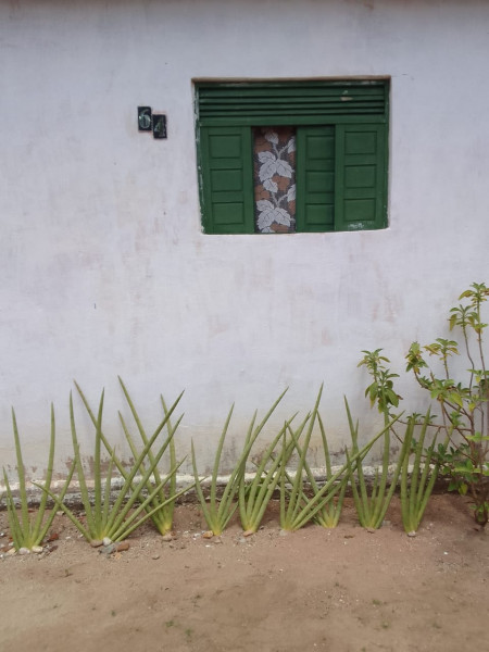 Casa à venda Centro com 37m² e 1 quarto por R$ 70.000 - 1334404723-img-20240116-wa0027.jpg