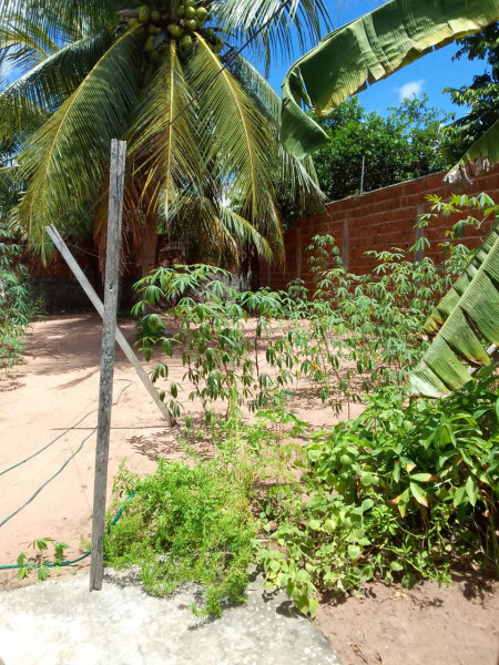 Casa à venda Centro com 37m² e 1 quarto por R$ 70.000 - 1805288261-img-20240116-wa0028.jpg