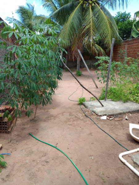 Casa à venda Centro com 37m² e 1 quarto por R$ 70.000 - 2143546004-img-20240116-wa0021.jpg