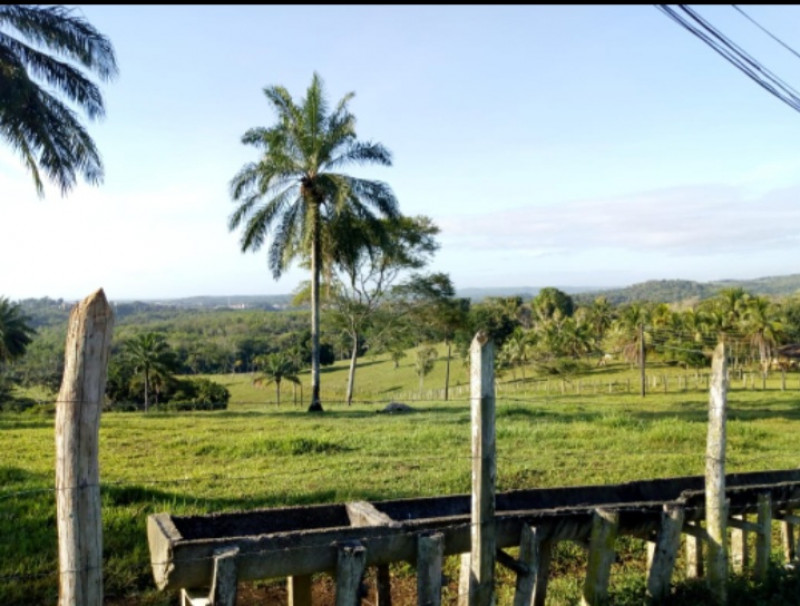 Fazenda à venda Centro com 170m² e 1 quarto por R$ 6.200.000 - 2015661165-screenshot-20230805-070100-whatsapp.jpg