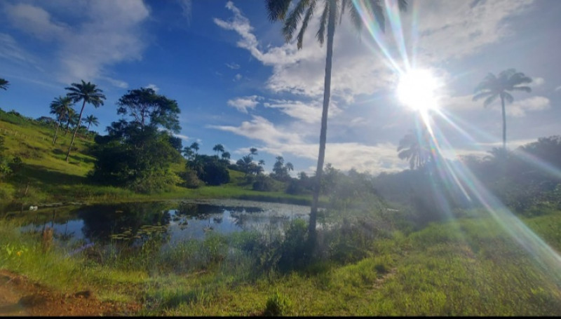 Fazenda à venda Centro com 170m² e 1 quarto por R$ 6.200.000 - 502369540-screenshot-20230803-173411-whatsapp.jpg
