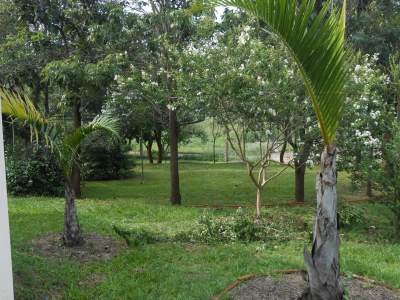 Chácara à venda Vertentes do Mamonal com 4370m² e 4 quartos por R$ 1.200.000 - 1536803244-dscn0856.JPG