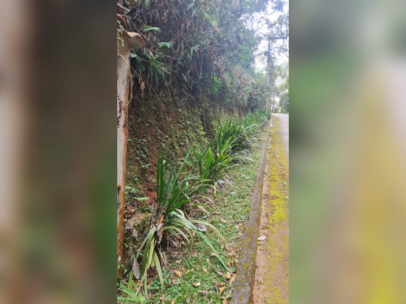 Terreno à venda Centro com 4403m² e 1 quarto por R$ 198.000 - 20250829-102553.jpg