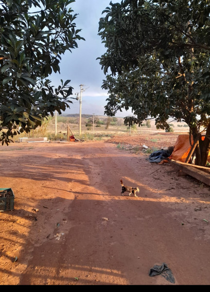 Chácara à venda Vl. Ribeiro com 14000m² e 2 quartos por R$ 550.000 - 128623977-img-20230417-wa0017.jpg