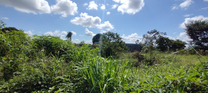 Chácara à venda Centro com 5000m² e 3 quartos por R$ 700.000 - 1008450337-img-20240120-150904990.jpg